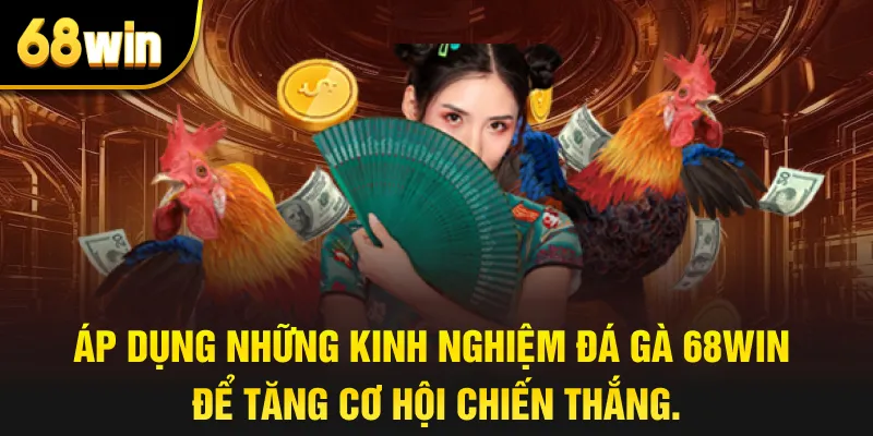 Áp dụng những kinh nghiệm đá gà 68win để tăng cơ hội chiến thắng.